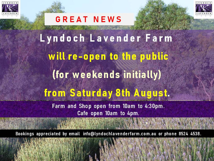 Lyndoch Lavender Farm & Cafe is re-opening its farm gates to the public