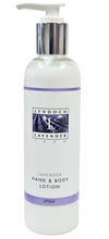 Hand & Body Lotion