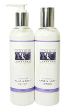 Hand & Body Lotion